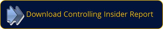 Download Controlling Insider Report Nr: 08